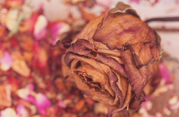 LUPERCALIA AKA WITCHES’ VALENTINES DAY